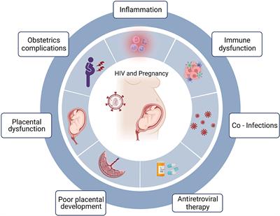 Frontiers | Preterm Birth In Women With HIV: The Role Of The Placenta